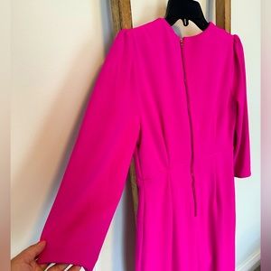 Hot pink/fuchsia professional dress, NWT, never worn. Gold zipper, plunge neck.